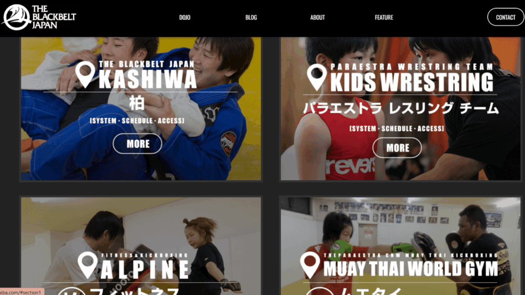 THE BLACKBELT JAPAN 松戸|キックボクシング・ブラジリアン柔術・MMA
