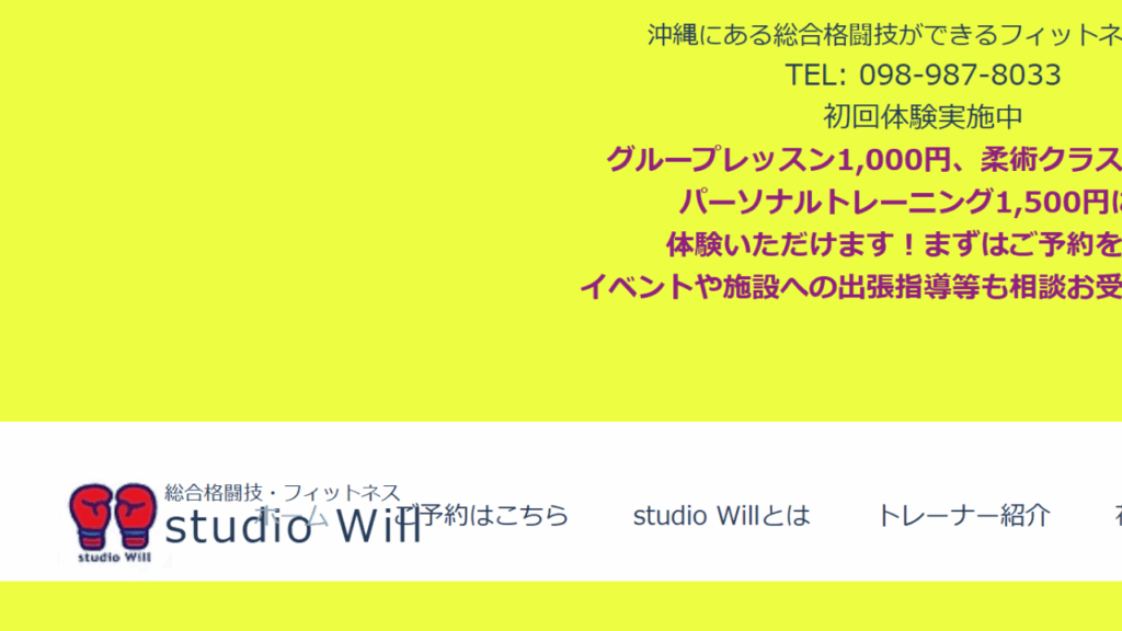 【うるま市】studio Will|キックボクシング・総合格闘技(MMA)・柔術